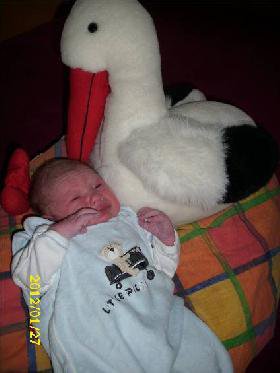 Babyfotografie