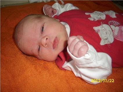 Babyfotografie